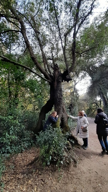 Lequinozio di primavera, insieme